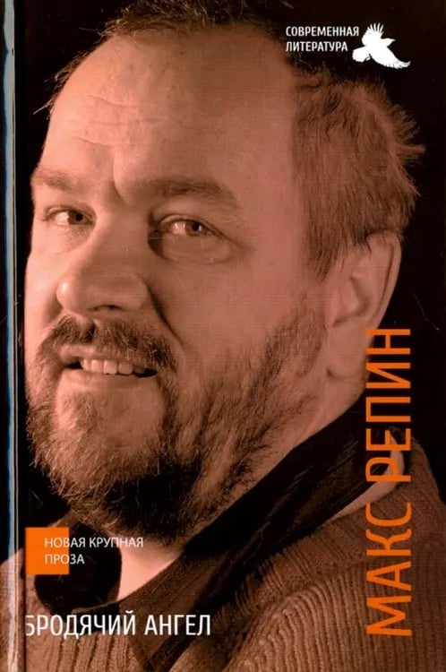 Обложка книги «Бродячий ангел» — Репин Макс, ISBN 9785906665089