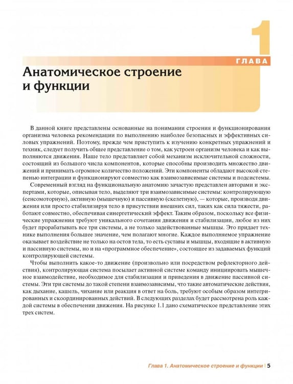 Дополнительное изображение книги «Мышечная механика»