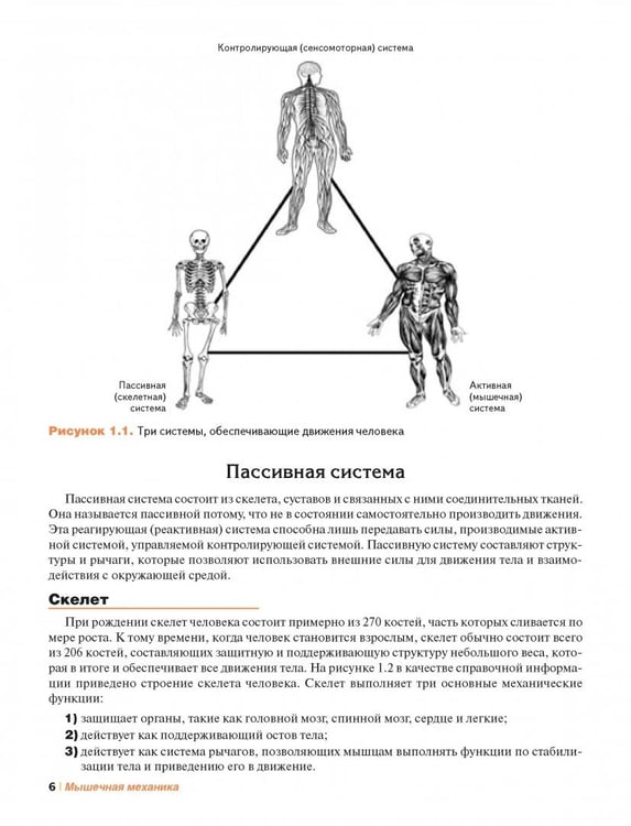 Дополнительное изображение книги «Мышечная механика»