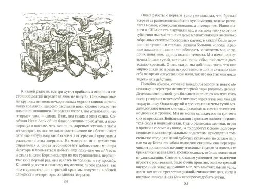Дополнительное изображение книги «Ковчег на острове»