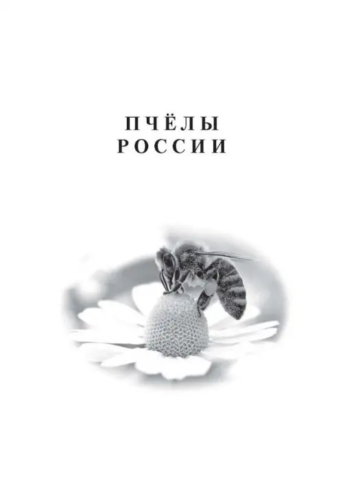 Дополнительное изображение книги «Записки пчеловода»
