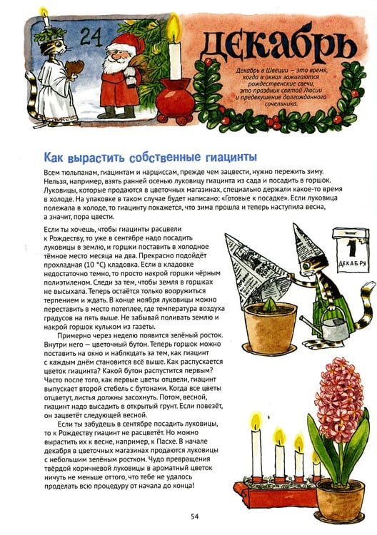 Дополнительное изображение книги «Поделки Финдуса»