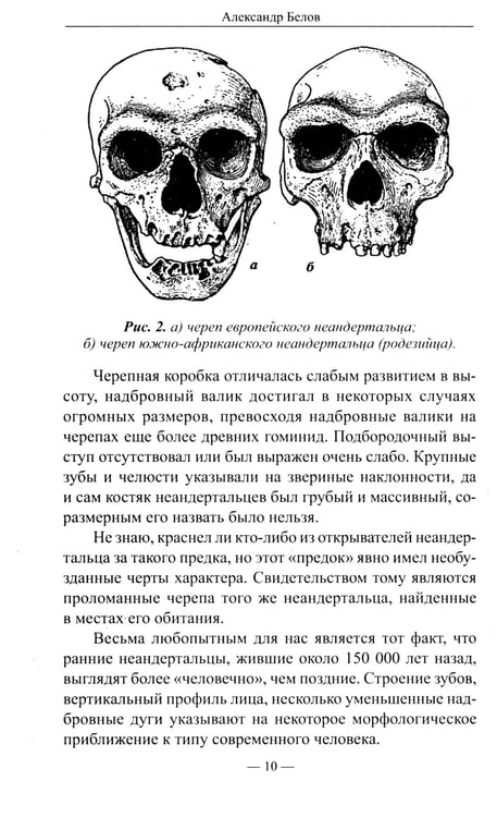 Дополнительное изображение книги «Путь ариев. В поисках прародины»