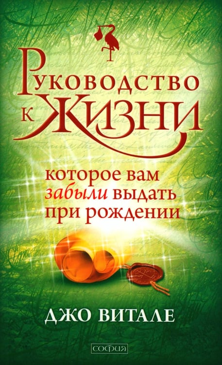 Обложка книги «Руководство к жизни, которые вам забыли выдать при рождении» — Витале Джо, ISBN 9785906749628