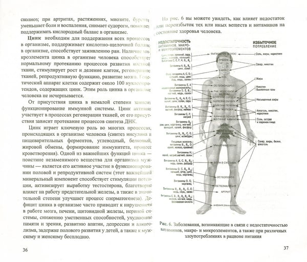 Дополнительное изображение книги «Тыква.Мифы и реальность»