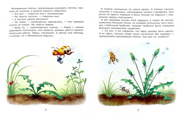 Дополнительное изображение книги «Познавательные сказки. Солнечные цветы»
