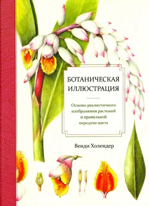 Обложка книги «Ботаническая иллюстрация» — Холендер Венди, ISBN 9789851526914