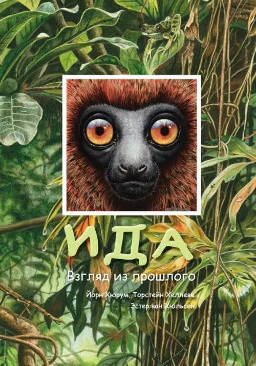 Обложка книги «Ида.Взгляд из прошлого» — Хюрум Йорн, Хеллеве Торстейн, ISBN 9785905474408