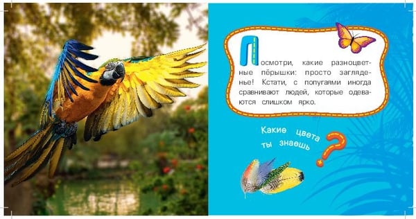 Дополнительное изображение книги «Попугай»
