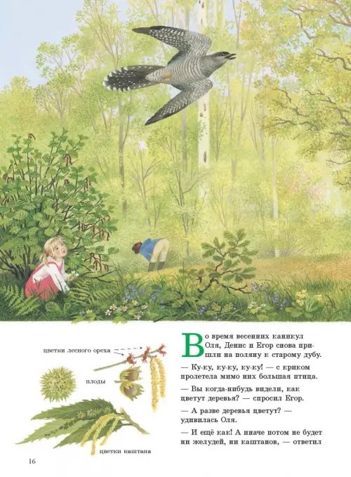 Дополнительное изображение книги «Наше дерево (иллюстрации Герды Мюллер)»
