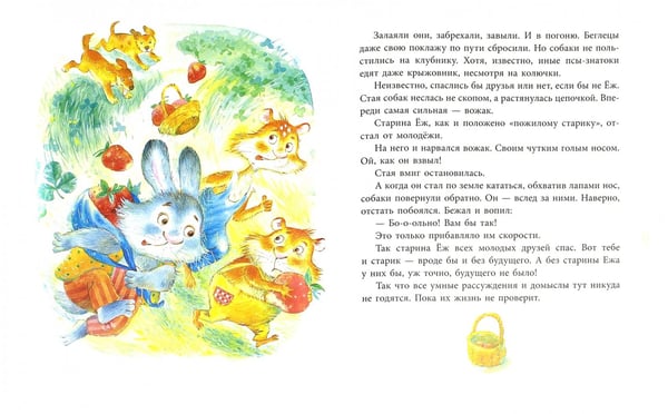 Дополнительное изображение книги «Шапка-невидимка Хомы и Суслика»