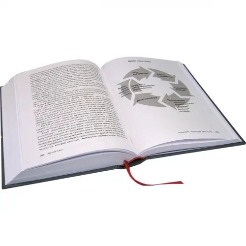 Дополнительное изображение книги «Вы или хаос. Профессиональное планирование для регулярного менеджмента»