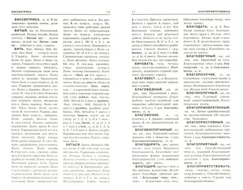Дополнительное изображение книги «Толковый словарь русского языка»