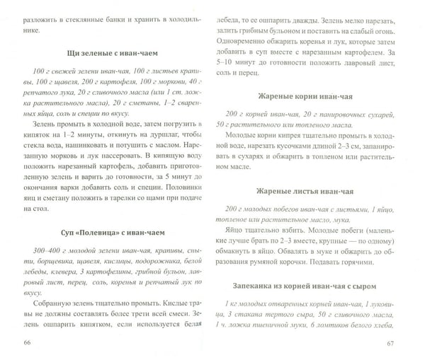 Дополнительное изображение книги «Иван-чай.Мифы и реальность»