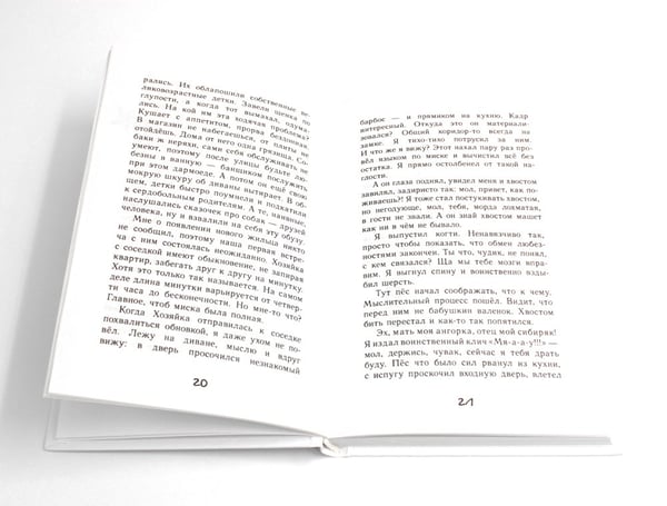 Дополнительное изображение книги «Дневник Кото-сапиенса»