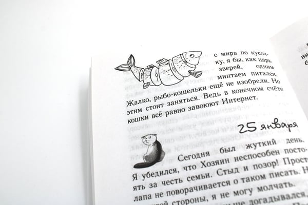 Дополнительное изображение книги «Дневник Кото-сапиенса»