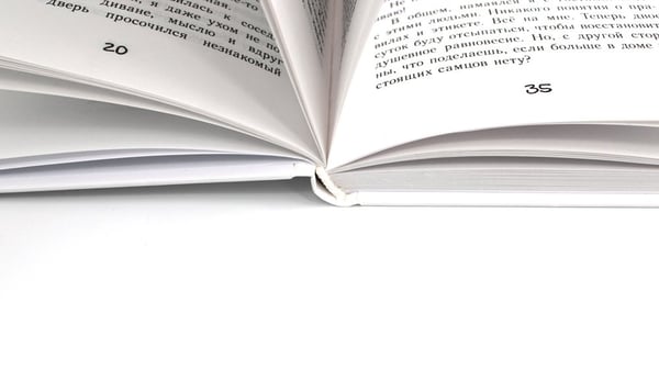 Дополнительное изображение книги «Дневник Кото-сапиенса»