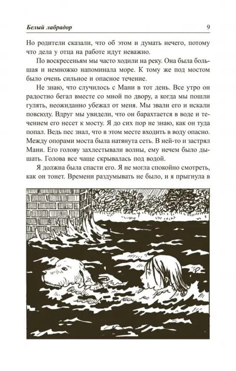 Дополнительное изображение книги «Пёс по имени Мани»