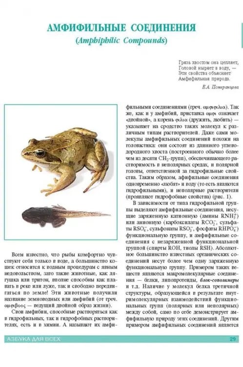 Дополнительное изображение книги «Нанотехнологии. Азбука для всех»