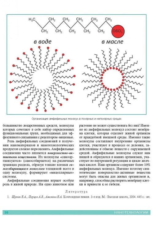 Дополнительное изображение книги «Нанотехнологии. Азбука для всех»
