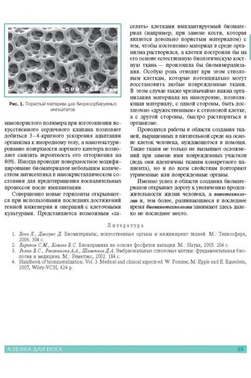 Дополнительное изображение книги «Нанотехнологии. Азбука для всех»