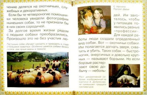 Дополнительное изображение книги «Каникулы и будни собаки»