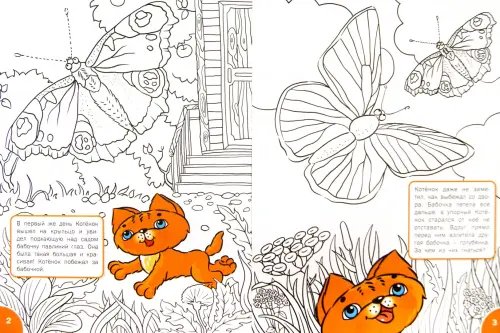 Дополнительное изображение книги «Знакомимся с миром насекомых. Развивающие раскраски для детей 5-6 лет»