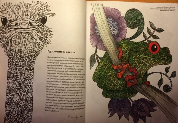 Дополнительное изображение книги «Необыкновенные животные (слон)»