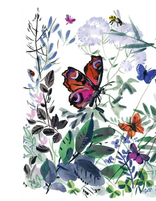 Дополнительное изображение книги «Жил-был Фип»