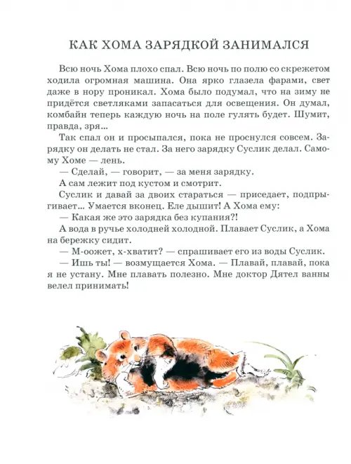 Дополнительное изображение книги «Приключения Хомы»
