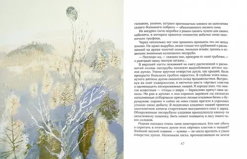 Дополнительное изображение книги «Сыч-воробей. Рассказы о птицах»