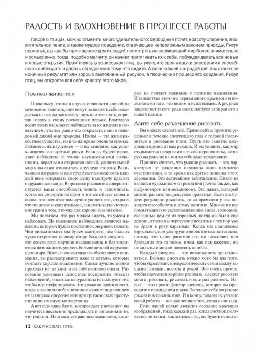 Дополнительное изображение книги «Как рисовать птиц»