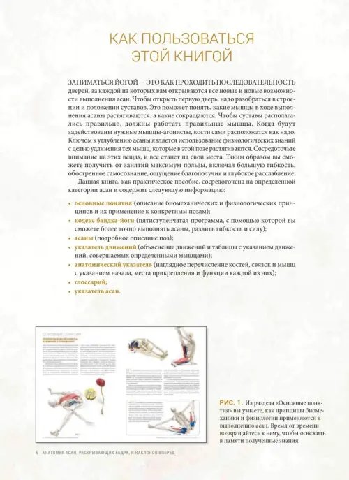 Дополнительное изображение книги «Анатомия асан, раскрывающих бедра, и наклонов вперед»