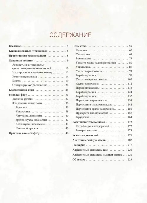 Дополнительное изображение книги «Анатомия виньяса-флоу и асан, выполняемых стоя»