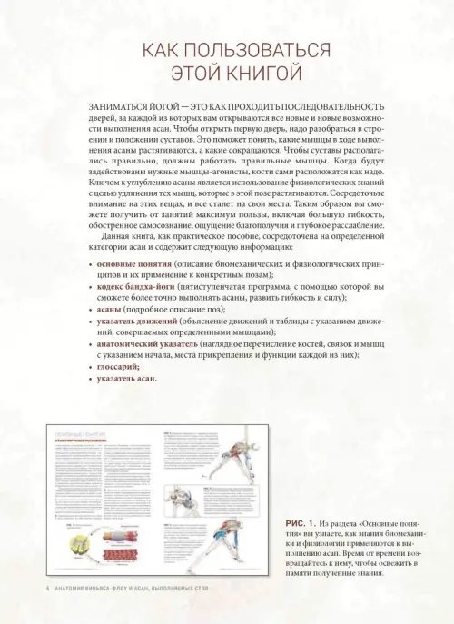 Дополнительное изображение книги «Анатомия виньяса-флоу и асан, выполняемых стоя»