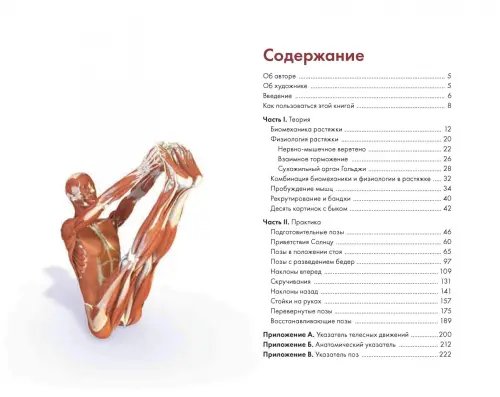 Дополнительное изображение книги «Ключевые позы йоги. Руководство по функциональной анатомии йоги»