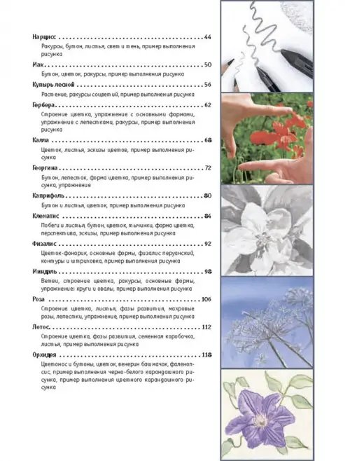 Дополнительное изображение книги «Рисование цветов от бутона до листьев»