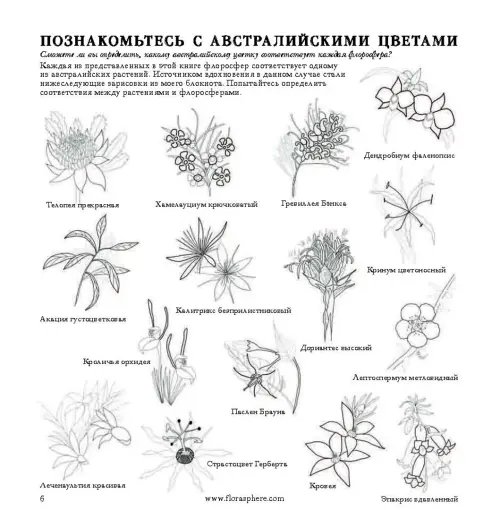 Дополнительное изображение книги «Флоросфера. Вдохновение»