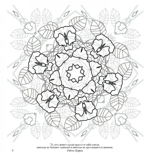 Дополнительное изображение книги «Флоросфера. Умиротворение»