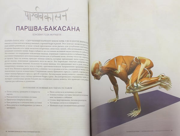 Дополнительное изображение книги «Анатомия балансов на руках и перевернутых поз»