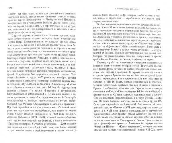 Дополнительное изображение книги «Европа и ислам. История непонимания»