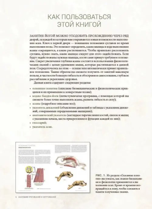 Дополнительное изображение книги «Анатомия прогибаний и скручиваний»