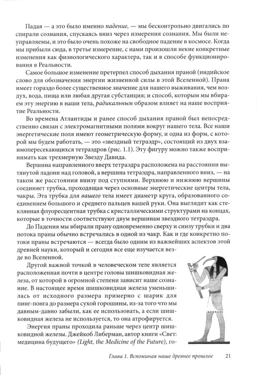 Дополнительное изображение книги «Древняя тайна Цветка Жизни. Том 1-2»