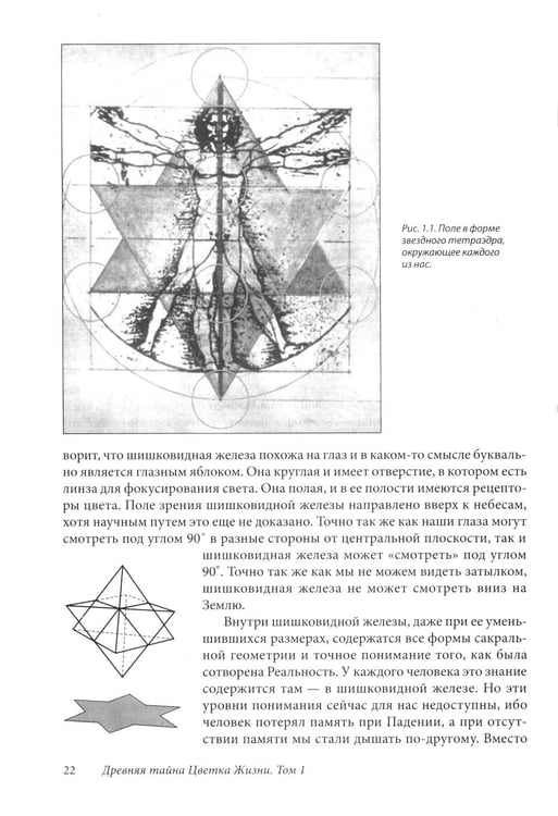 Дополнительное изображение книги «Древняя тайна Цветка Жизни. Том 1-2»