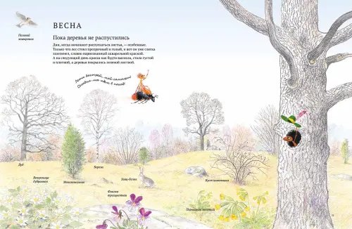 Дополнительное изображение книги «Экспедиция Софи»