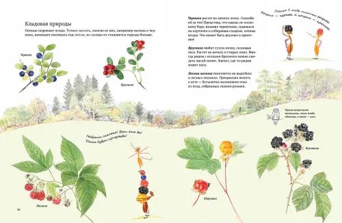 Дополнительное изображение книги «Экспедиция Софи»
