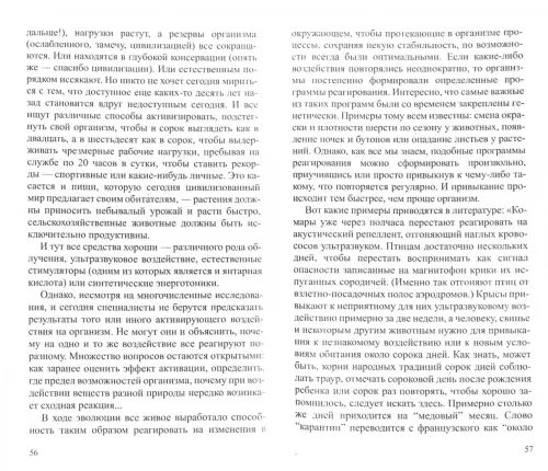 Дополнительное изображение книги «Янтарь. На страже здоровья»