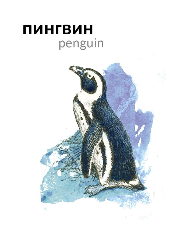 Дополнительное изображение книги «Птицы»