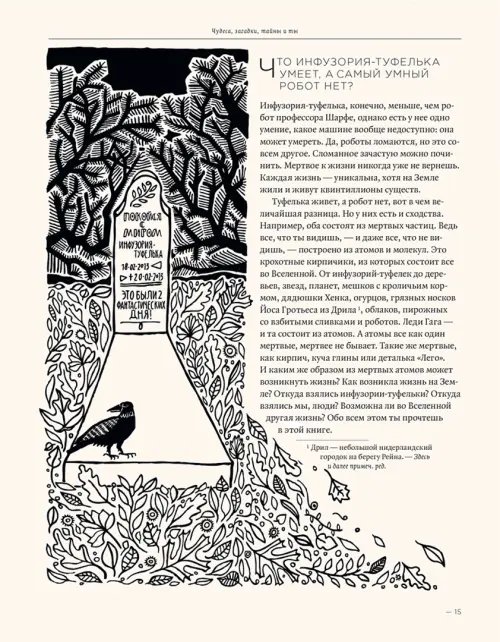 Дополнительное изображение книги «Загадка жизни и грязные носки Йоса Гротьеса из Дрила»