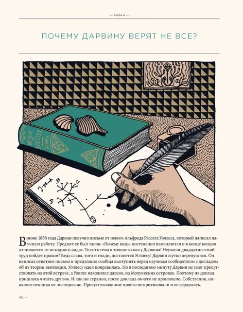 Дополнительное изображение книги «Загадка жизни и грязные носки Йоса Гротьеса из Дрила»
